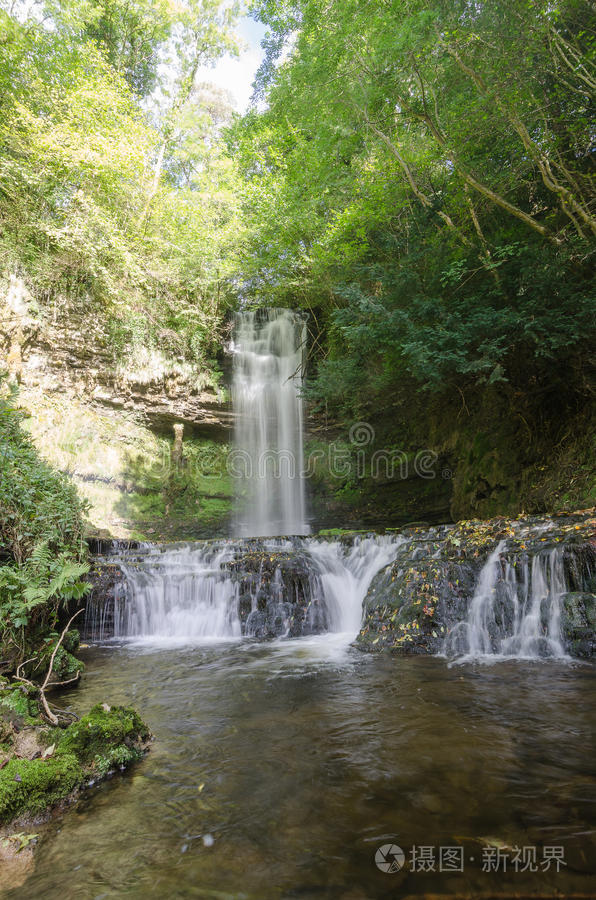 爱尔兰森林中的瀑布