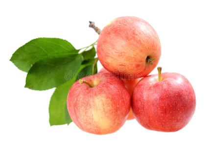 海边的四个苹果图片-海边的四个苹果素材-海边的四个苹果插画-摄图新