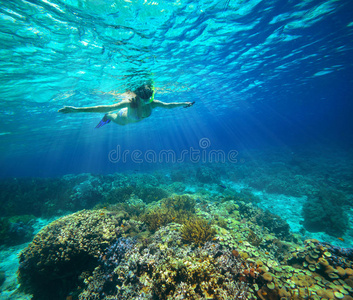一名女子在阳光下浮潜的水下照片