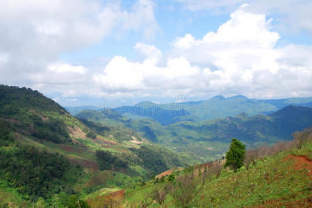 山景