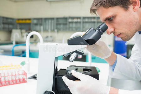 实验室用显微镜的科研人员图片