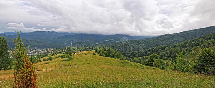 小山 生态学 风景 喀尔巴阡山 公园 生长 草地 空气 美女