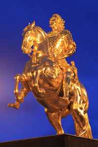 金银花金色图片