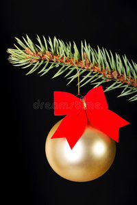 一个金色的圣诞球在绿色的冷杉上。