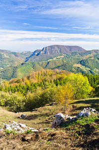 乡村 树叶 自然 农田 环境 小山 风景 国家 美丽的 植物区系