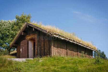典型的屋顶有草的挪威建筑