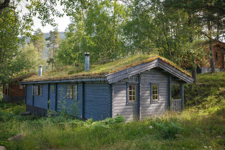 典型的挪威式屋顶有草的房子