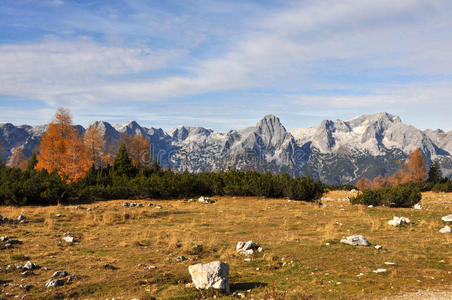 秋季高山景观图片