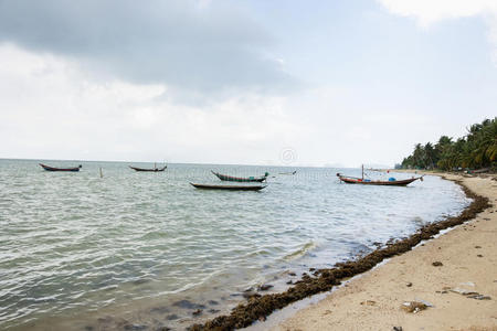 泰国高宝安岸上的渔船