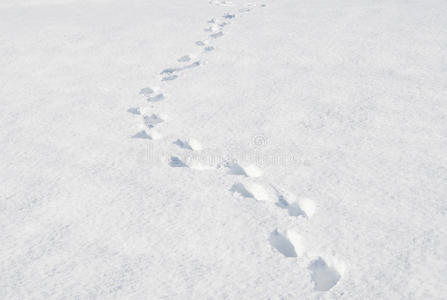 雪地上的脚步声