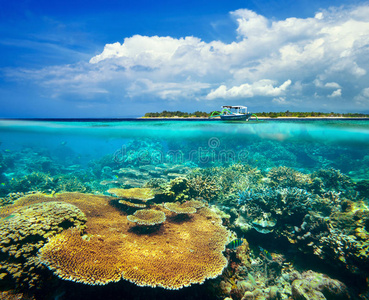 美丽的珊瑚礁，背景是吉利梅诺岛