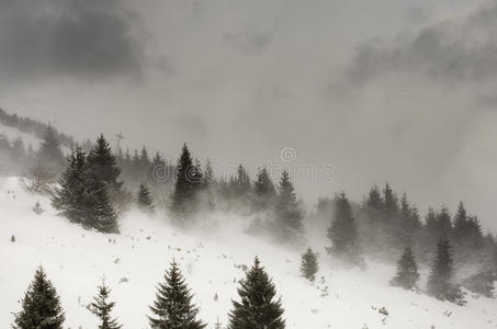 暴风雪图片