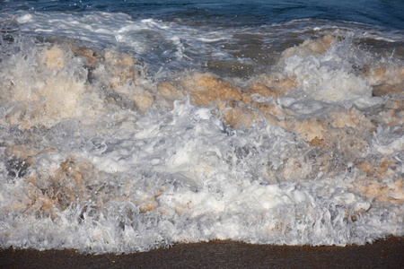 水泡沫的破碎到岸边的海浪