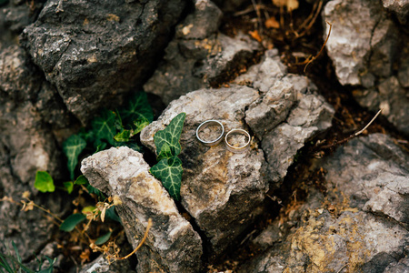 在草丛中的石头上的结婚戒指