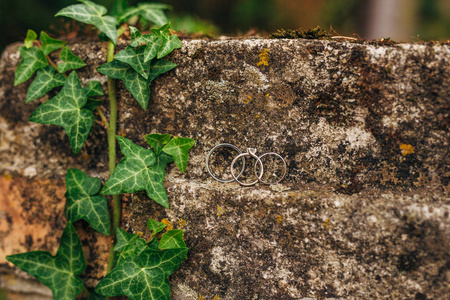 在草丛中的石头上的结婚戒指