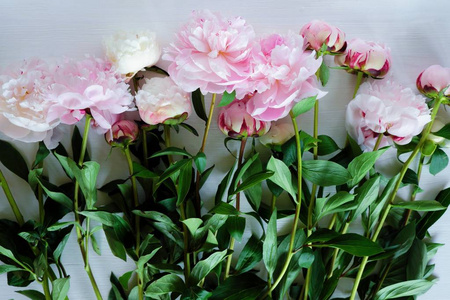 粉红色和白色牡丹的柔情花束