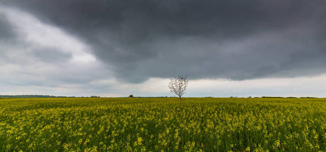 欧洲农村地区的风暴云和菜籽河田