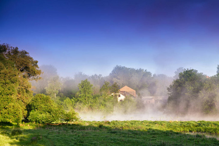 波多利亚的图片
