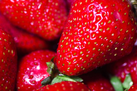草莓宏照片
