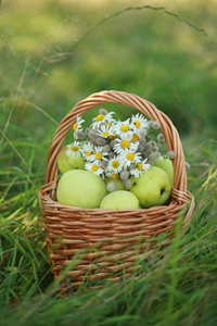 苹果在篮子里的花