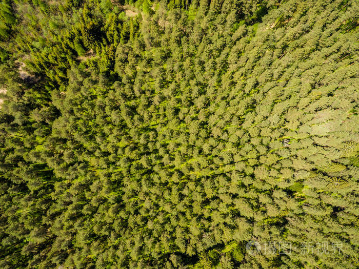 无人机图像。农村地区的森林和沼泽 lak 的鸟瞰图
