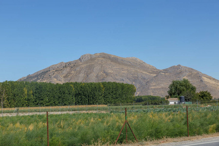 在绿色风景中间的一座大山的看法