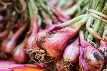 一堆新鲜的葱.亚洲红洋葱.香葱,hel 的好处照片