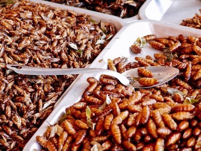 油炸昆虫对街头食品摊的亚洲