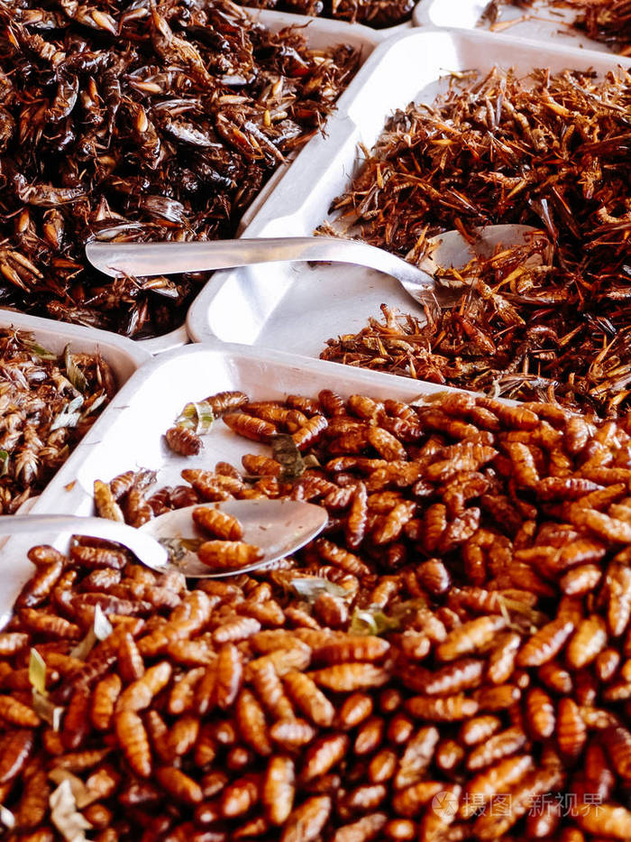 油炸昆虫对街头食品摊的亚洲