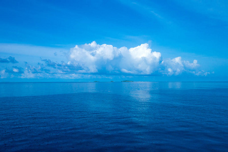热带海蓝色的天空下图片