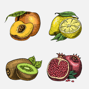 手定，刻的新鲜水果 素食食品 植物 老式看猕猴桃 桃黄柠檬和石榴