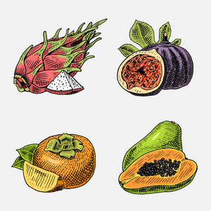 手定，刻的新鲜水果 素食食品 植物 老式寻找无花果 柿子和火龙果 木瓜