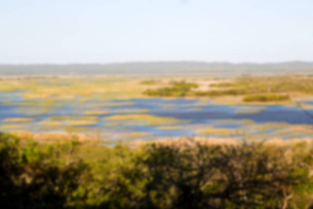 在南非池塘湖自然保护区和布什