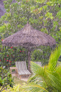 塞舌尔强热带雨