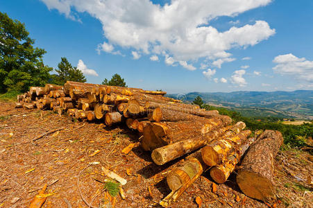 矢量图登录中草原草原在绿色公园用园艺工具种植新树柴火幼树育苗印尼