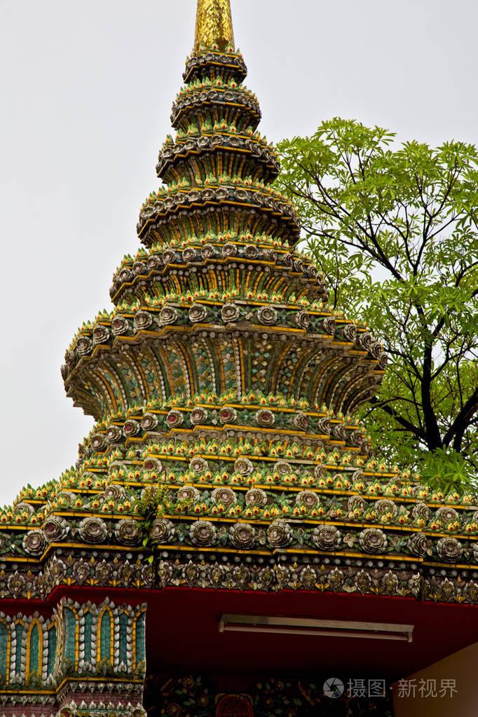 泰国曼谷雨庙树