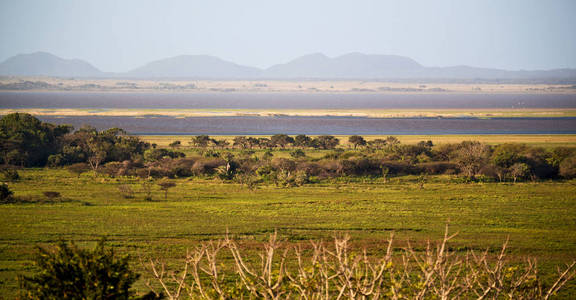 在南非池塘湖自然保护区和布什