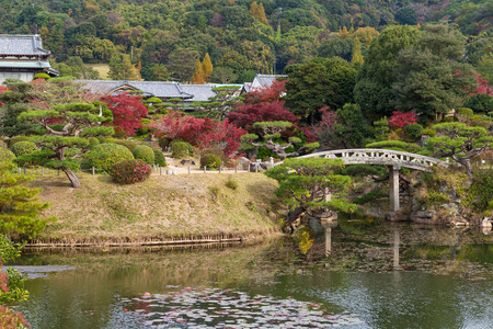 日本花园在秋天的季节