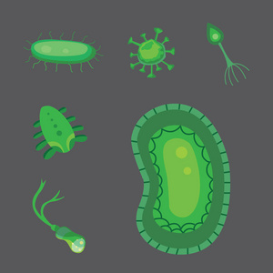 向量组的细菌和病毒平插图图片