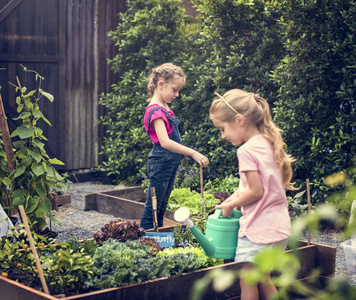 孩子们学习在户外园艺