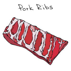 手绘卡通豚骨拉面行排骨.现实的矢量图孤立的手绘涂鸦或卡通风格素描.