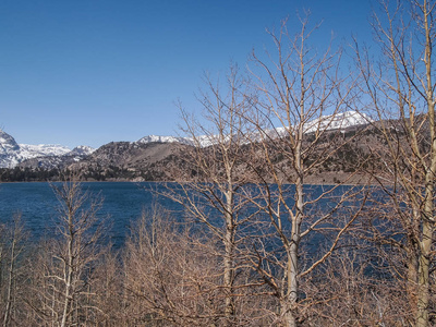 美丽的湖，雪的山和松树树