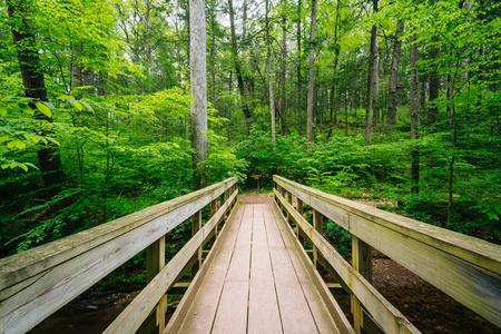 在宾夕法尼亚州里克茨格伦州立公园的一条小道上的木桥