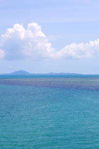 南海泰国霍芬甘湾海岸线上的一个绿色泻湖和一棵树