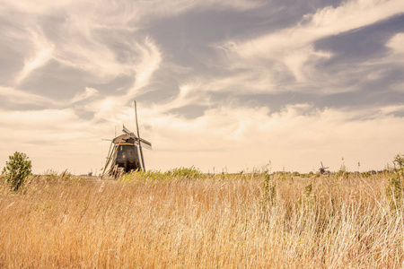 kinderdijk 风车徒步风景荷兰