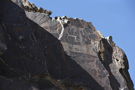 古代岩石画马，狗，迪尔斯，水牛，动物，萨米什，峡谷，纳沃伊Kermine，乌兹别克斯坦