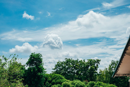 蓝色天空风景与绿色树