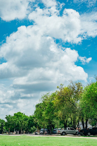 蓝色的天空和绿色的树的风景