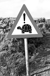 在南非建立密切的龟标志