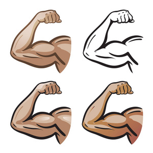强壮的男性胳膊 手肌肉 二头肌图标或符号。健身房 健康 蛋白标志。卡通矢量图